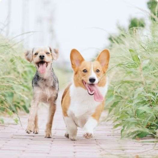 Ako zviditeľniť inzerát bez platenia: 12 úprav, ktoré zvýšia reakcie